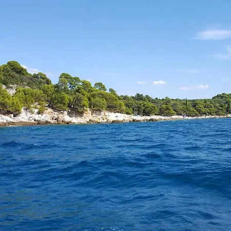 Vrancic3